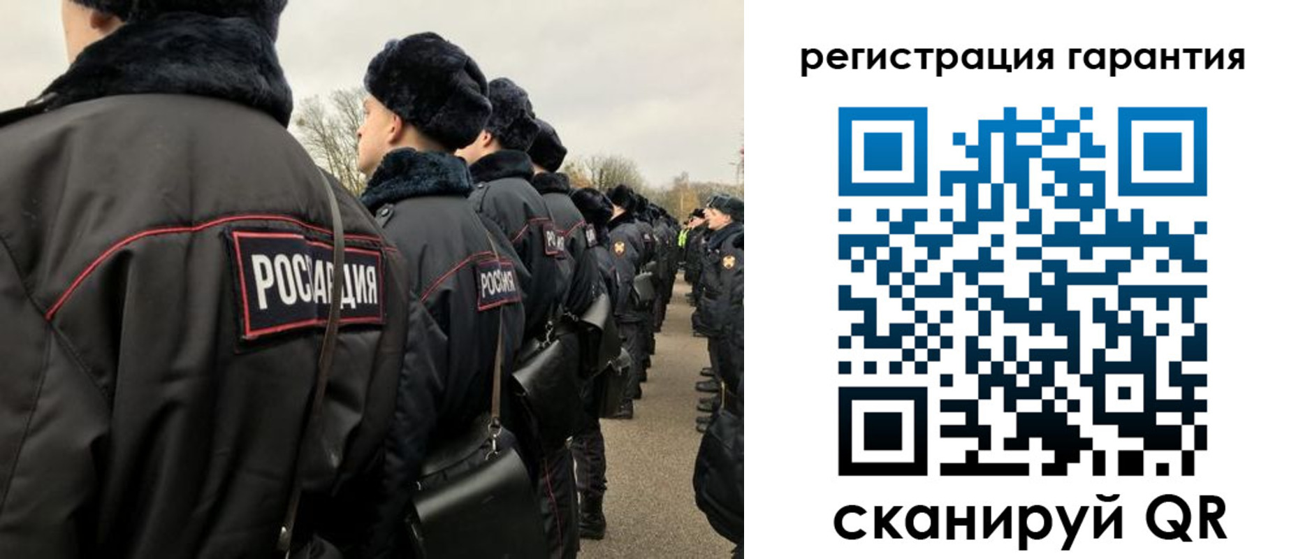 прописка поиск в Павловске